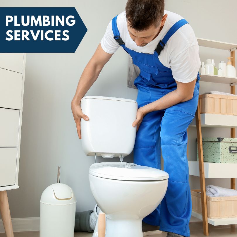 Plumbing Company in Forestville, MI